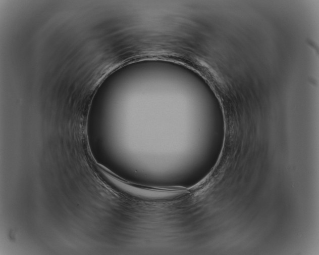 X0000091521361200709071007