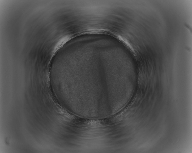 X0000091521362200709071007