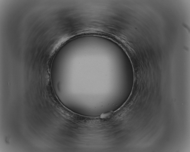 X0000091521363200709071007