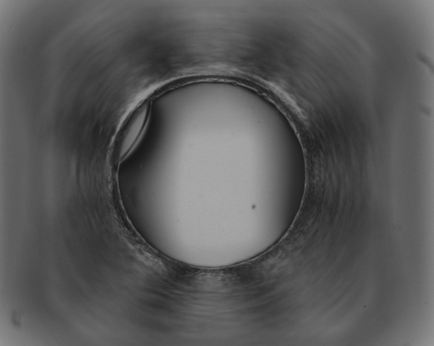 X0000091521364200709071007