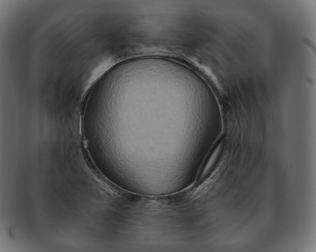 X0000091521365200709071007