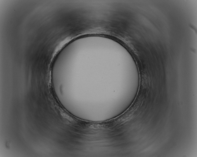 X0000091521366200709071007