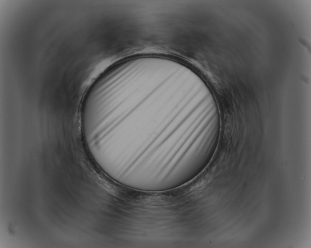 X0000091521367200709071007