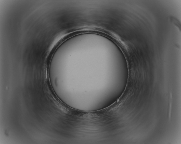 X0000091521368200709071007