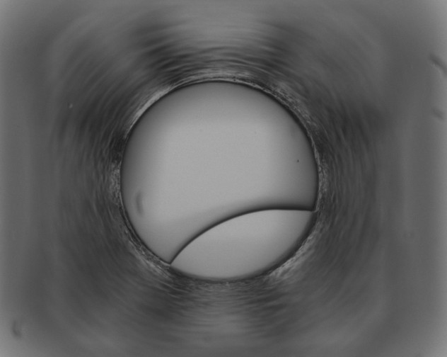 X0000091521369200709071007