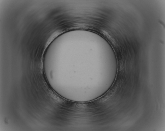 X0000091521370200709071007