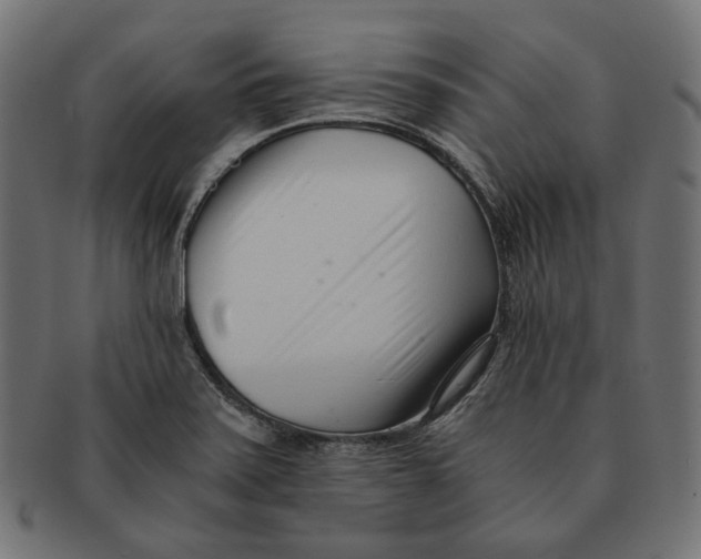 X0000091521371200709071007