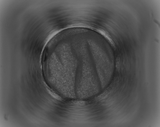 X0000091521372200709071007