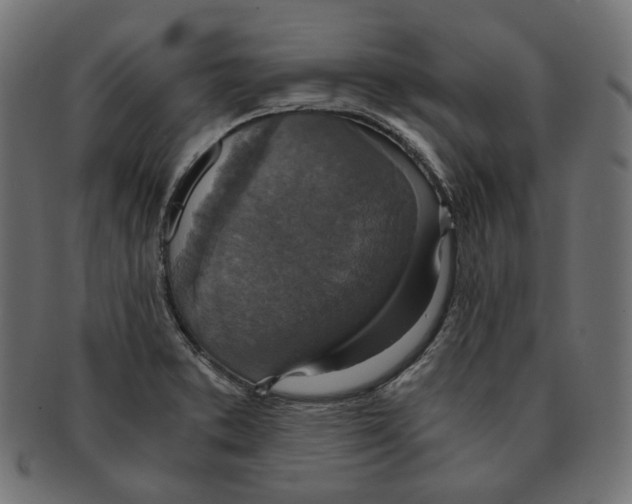 X0000091521373200709071007