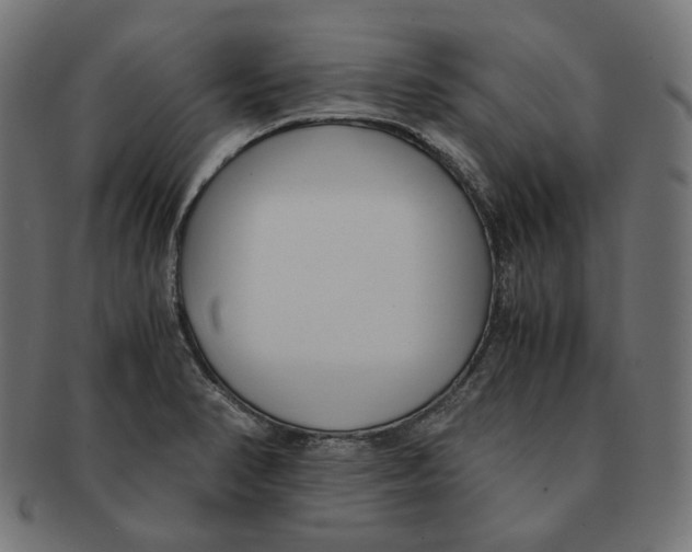 X0000091521374200709071007