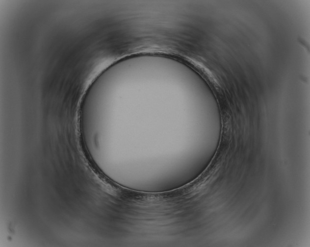 X0000091521375200709071007