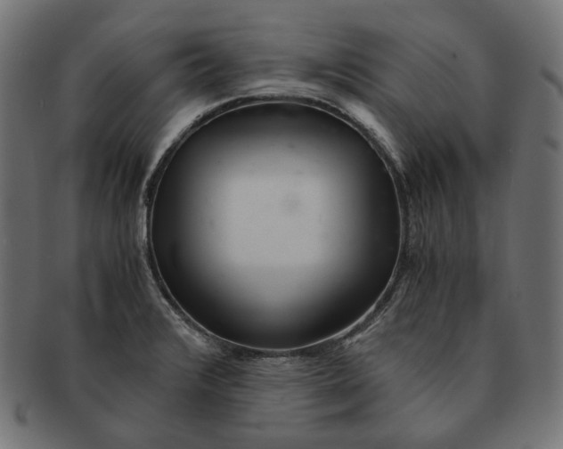 X0000091521376200709071007