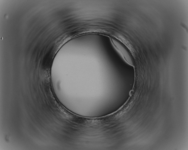 X0000091521377200709071007