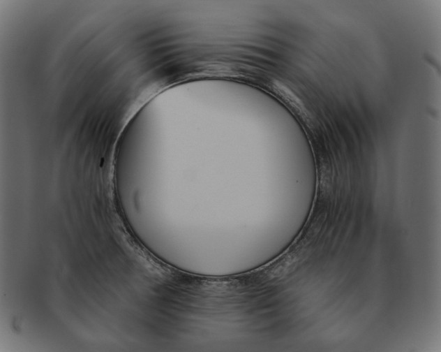 X0000091521378200709071007