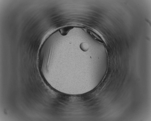 X0000091521379200709071007