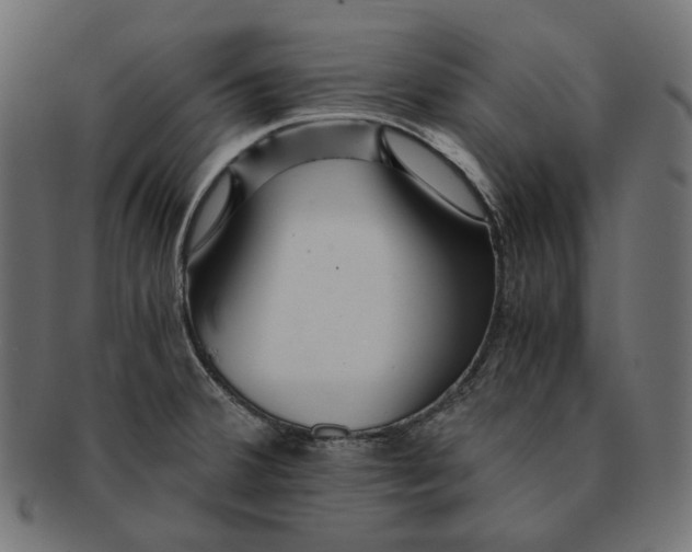 X0000091521380200709071007