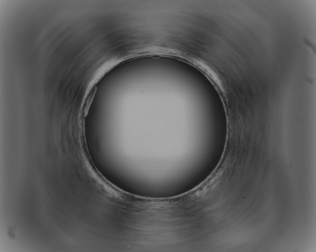 X0000091521381200709071007