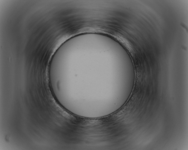 X0000091521382200709071007