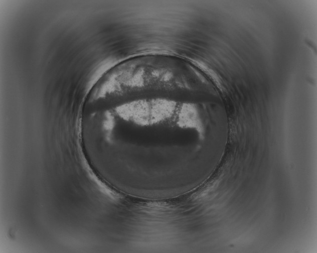 X0000091521383200709071007