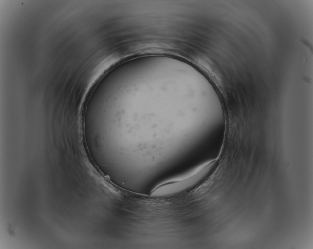 X0000091521384200709071007