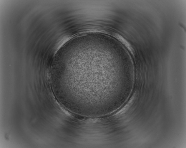 X0000091521385200709071007