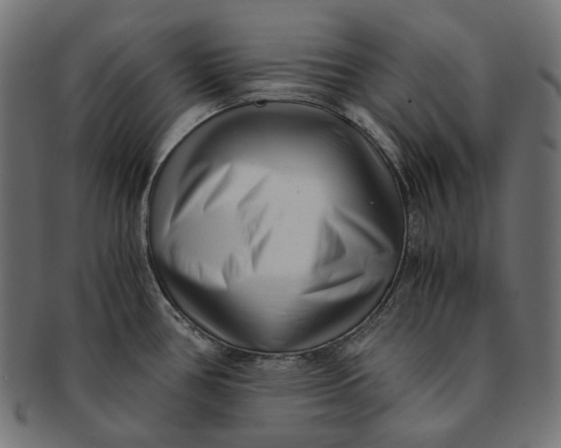 X0000091521386200709071007