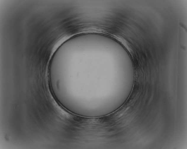 X0000091521387200709071007