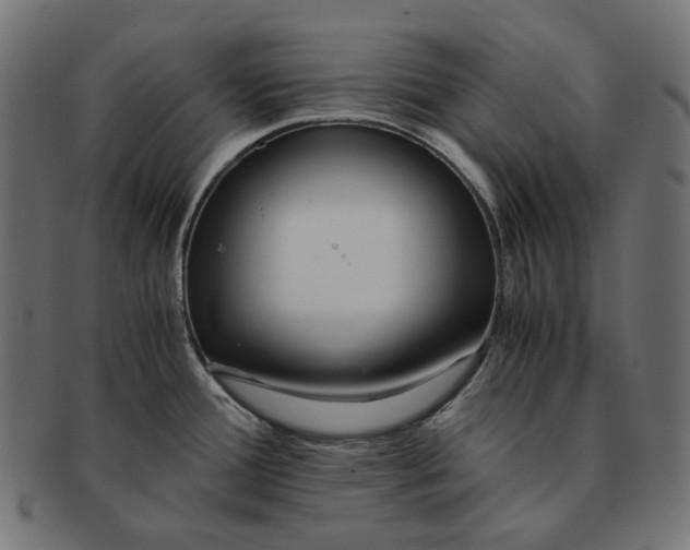 X0000091521388200709071007