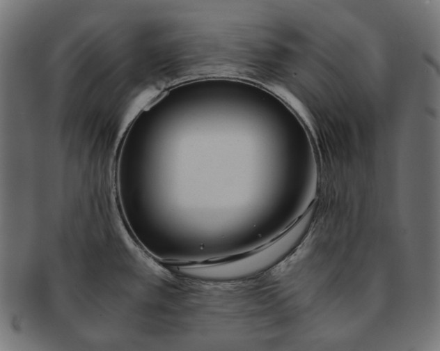 X0000091521389200709071006