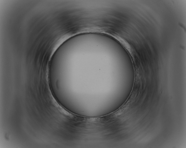 X0000091521390200709071006