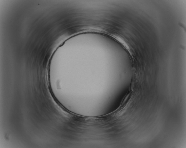 X0000091521391200709071006