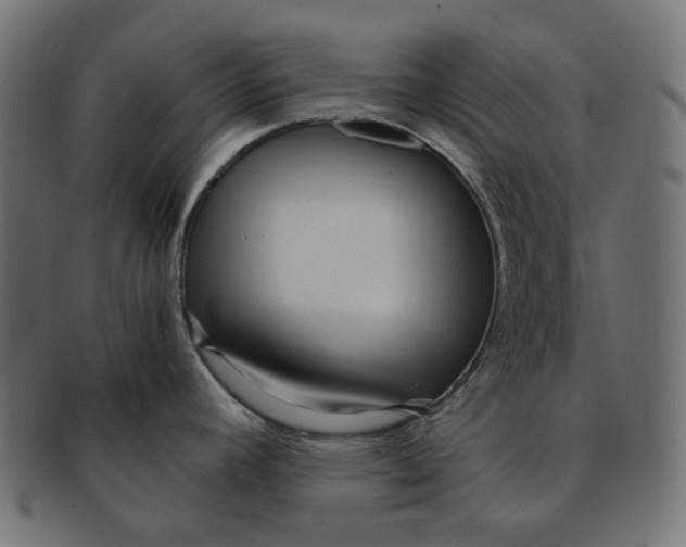 X0000091521392200709071006