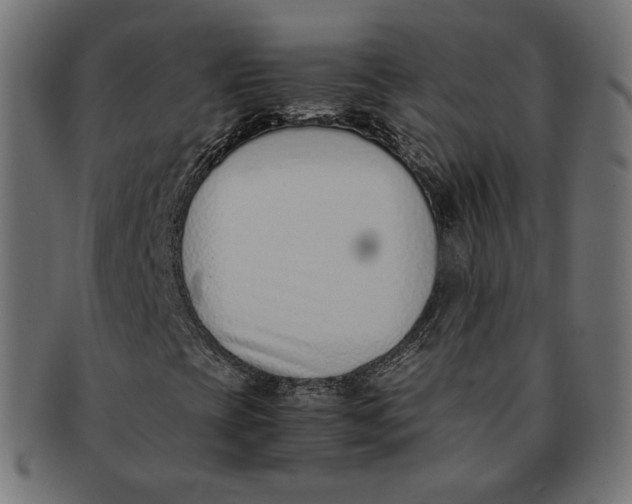 X0000091521393200709071006