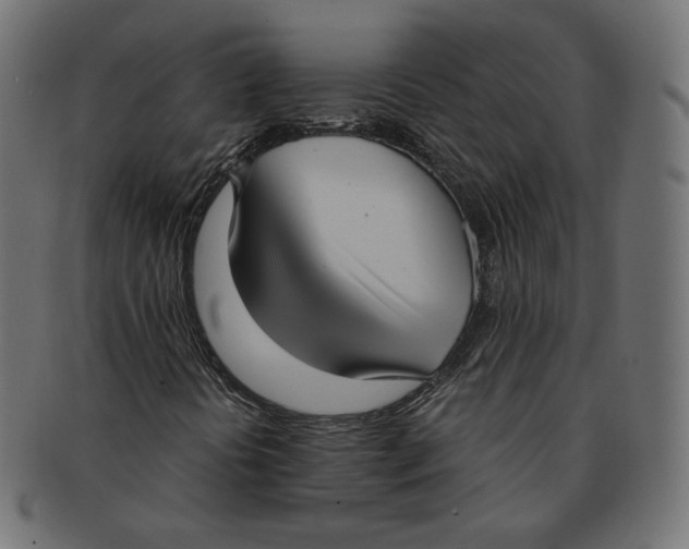 X0000091521394200709071006