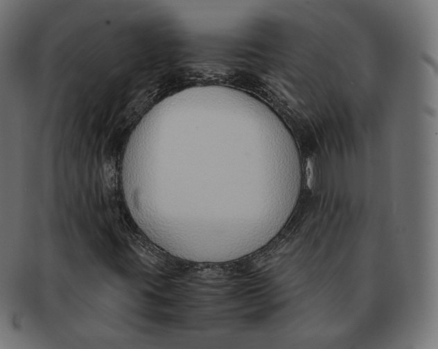 X0000091521395200709071006