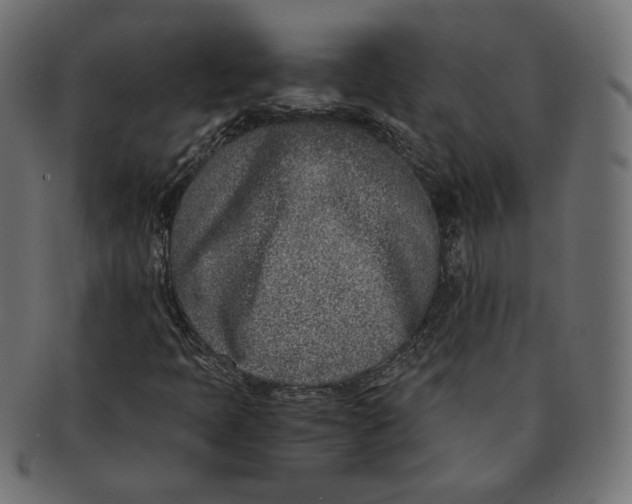 X0000091521397200709071006