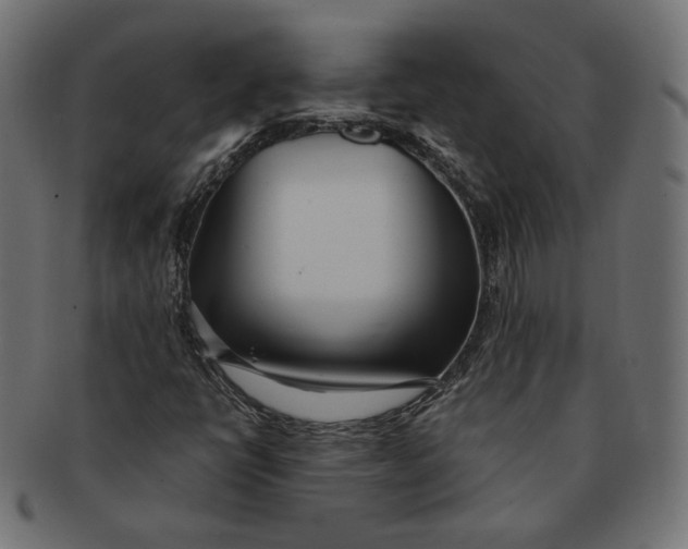 X0000091521398200709071006