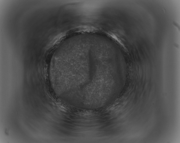 X0000091521399200709071006