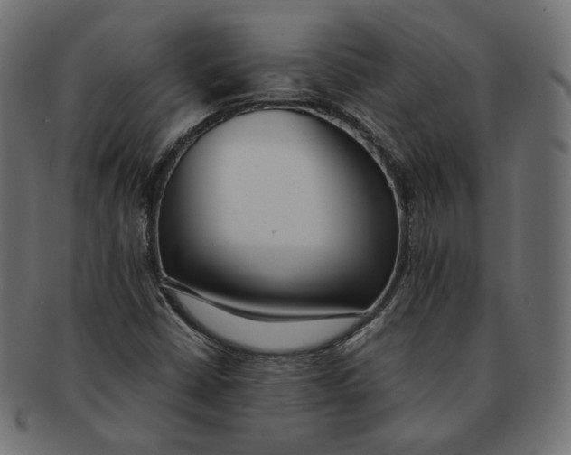 X0000091521402200709071006