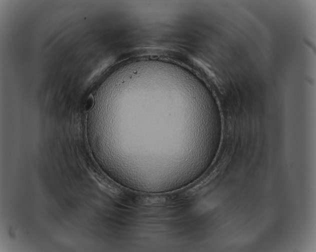 X0000091521403200709071006