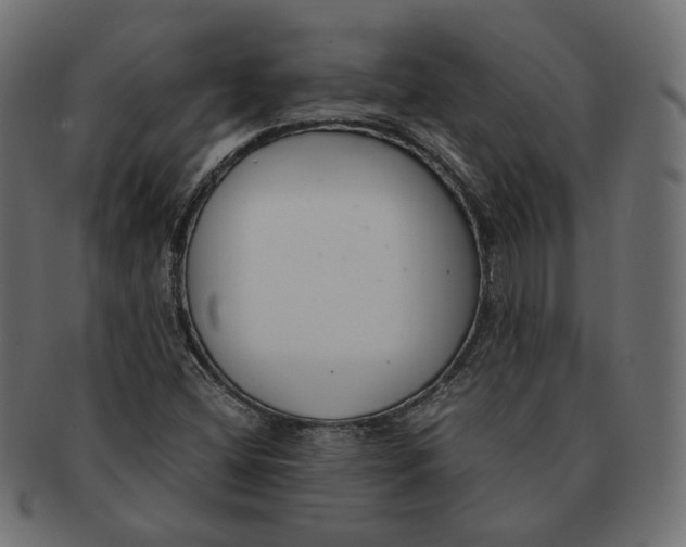 X0000091521404200709071006