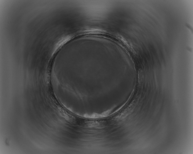 X0000091521405200709071006