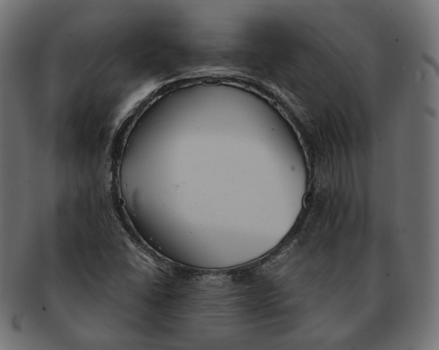 X0000091521406200709071006