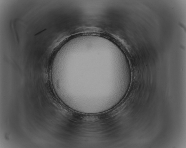 X0000091521407200709071006