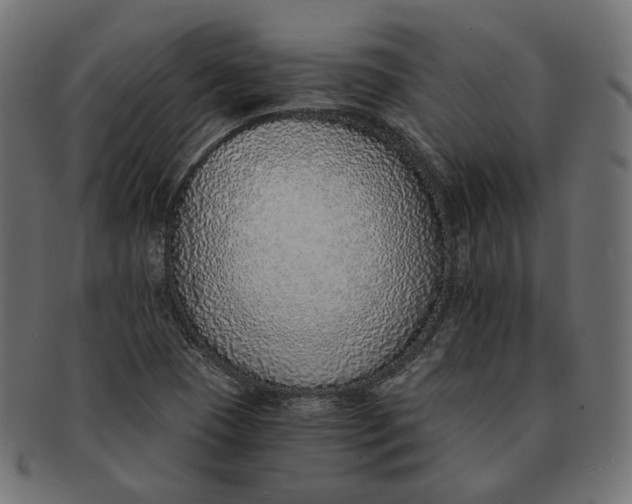 X0000091521409200709071006