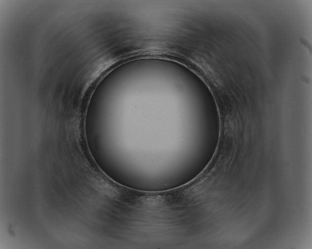 X0000091521410200709071006