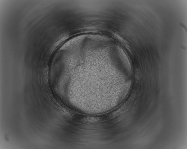 X0000091521411200709071006