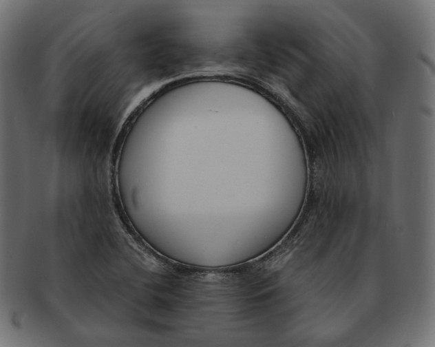 X0000091521412200709071006