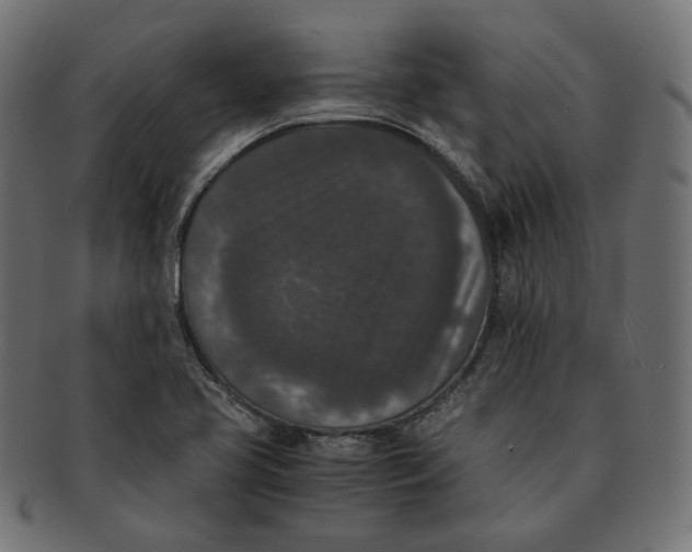 X0000091521413200709071006