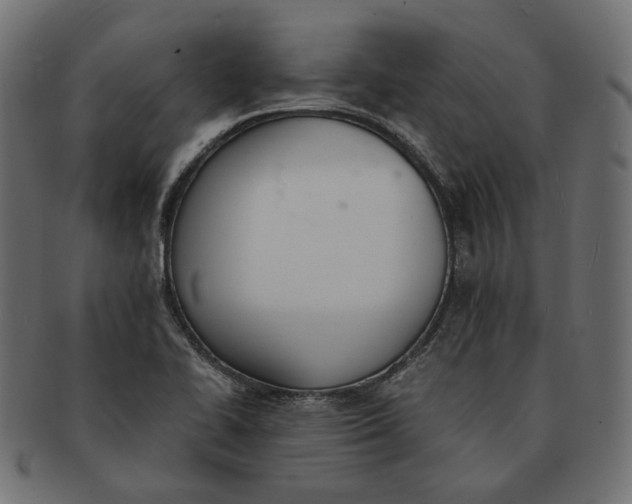 X0000091521414200709071006